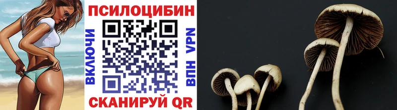 Псилоцибиновые грибы ЛСД  Купить где  Зуевка 